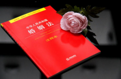 石家莊夫妻離婚財(cái)產(chǎn)是怎么判的