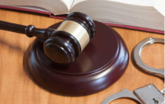 一般刑事犯罪和嚴重刑事犯罪區別